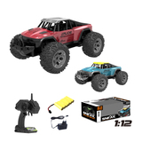 2.4G 1-12 4CH Remote control diecast speed car NO.99-2211B