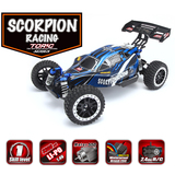 1/8 SCALE ELECTRIC 4WD 2.4GHZ RC OFF-ROAD BRUSHED TRUGGY 8051